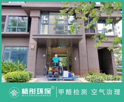 海口衍宏″悅府家庭甲醛治理