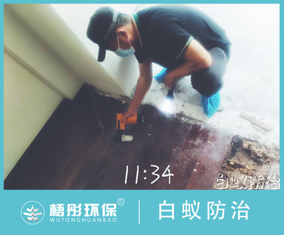 澄迈富力红树湾白蚁防治