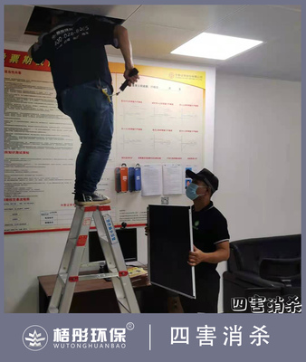 海口市人民大道中泰證券辦公室滅鼠