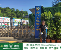 滨海小学灭蚁