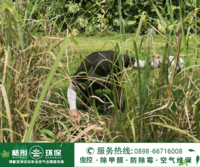 9月18日博鳌镇东屿岛