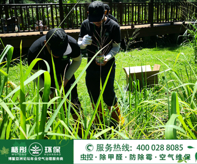 6月18日博鰲鎮(zhèn)東嶼島