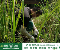 8月9日博鳌镇东屿岛